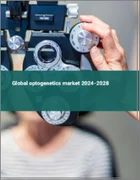 表紙：オプトジェネティクス（光遺伝学）の世界市場 2024-2028