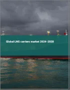 表紙：LNG船の世界市場 2024-2028
