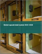 表紙：カプセルホテルの世界市場 2024-2028
