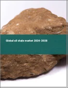 表紙：オイルシェールの世界市場 2024-2028