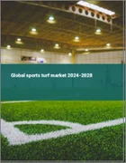 表紙：スポーツターフの世界市場 2024-2028