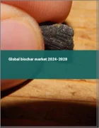 表紙：バイオ炭の世界市場 2024-2028