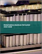 表紙：電池用アルミ箔の世界市場 2024-2028
