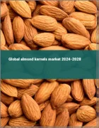 表紙：アーモンドカーネルの世界市場 2024-2028