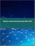 表紙：インメモリーデータグリッドの世界市場 2024-2028