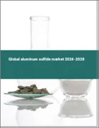 表紙：硫化アルミニウムの世界市場 2024-2028
