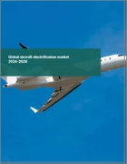 表紙：航空機電動化の世界市場 2024-2028