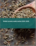 表紙：キャラウェイ種子の世界市場 2024-2028
