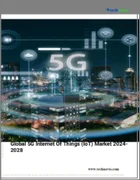 表紙：5Gモノのインターネット（IoT）の世界市場 2024-2028