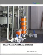 表紙：熱流体の世界市場、2024～2028年