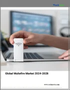 表紙：マルチファイヤーの世界市場 2024-2028