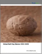 表紙：ボール粘土の世界市場 2024-2028