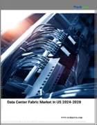 表紙：米国のデータセンターファブリック市場、2024～2028年