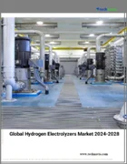 表紙：水素電解槽の世界市場 2024-2028
