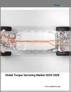 表紙：トルクベクタリングの世界市場、2024～2028年