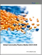 表紙：汎用プラスチックの世界市場、2024年～2028年