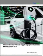 表紙：電気自動車供給設備（EVSE）の世界市場、2024～2028年