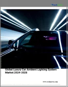 表紙：高級車用アンビエント照明システムの世界市場 (2024～2028年)