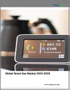 表紙：スマートガスの世界市場 2024年～2028年