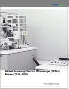 表紙：走査型電子顕微鏡（SEMS）の世界市場、2024～2028年