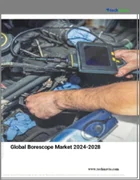表紙：ボアスコープの世界市場 (2024～2028年)