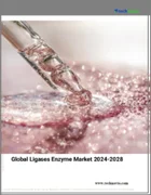 表紙：リガーゼ酵素の世界市場（2024年～2028年）