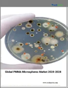 表紙：PMMAマイクロスフェアの世界市場（2024年～2028年）