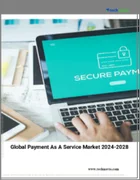 表紙：PaaS (Payment as a Service) の世界市場 (2024～2028年)