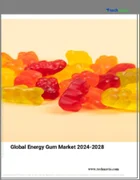 表紙：エネルギーガムの世界市場 (2024～2028年)