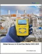 表紙：石油・ガス用センサーの世界市場、2025～2029年
