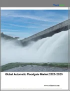 表紙：自動水門の世界市場、2025～2029年
