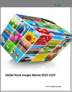表紙：ストックイメージの世界市場、2025～2029年