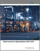 表紙：産業用照明の世界市場 2025-2029年