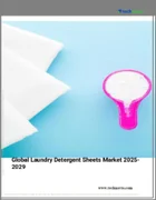 表紙：洗濯洗剤シートの世界市場 2025-2029年