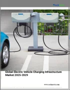 表紙：電気自動車充電インフラの世界市場 2025年～2029年