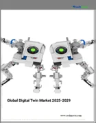 表紙：デジタルツインの世界市場 2025-2029年