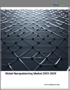 表紙：ナノパターニングの世界市場 2025-2029年