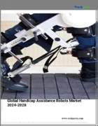 表紙：身体障害者補助ロボットの世界市場、2024～2028年