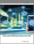 表紙：セルラーM2Mモジュールの世界市場、2024～2028年