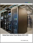 表紙：データセンター用電力の世界市場、2025-2029年