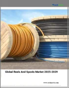 表紙：リールとスプールの世界市場 2025～2029年