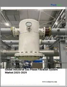 表紙：産業用気相ろ過システムの世界市場 2025～2029年