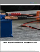表紙：世界の自動車用鉛蓄電池市場 2025～2029年