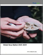 表紙：スヌースの世界市場 2025～2029年