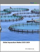 表紙：世界の水産養殖市場 2025～2029年
