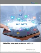 表紙：ビッグデータサービスの世界市場、2025-2029年