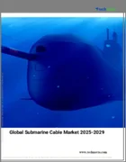 表紙：海底ケーブルの世界市場（2025年～2029年）