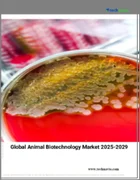 表紙：動物バイオテクノロジーの世界市場 2025-2029年