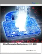 表紙：ペネトレーションテストの世界市場、2025-2029年