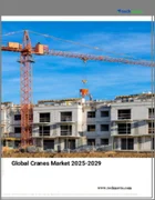 表紙：クレーンの世界市場 2025～2029年